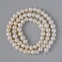 Perles d'eau douce sur fil, diamètre 5–5,5 mm, longueur 35 cm +/-