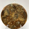 Plaque souvenir d'ammonite fossilisée, diamètre 11 cm ± avec socle 15×10 cm+