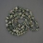 Perles chips d'agate mousse 5-10×3-5 mm sur fil, longueur 80 cm+